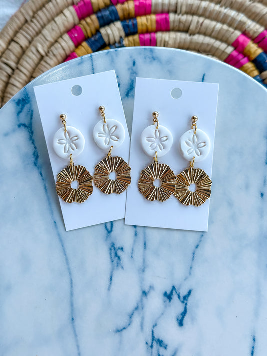 Sand Dollar and Gold