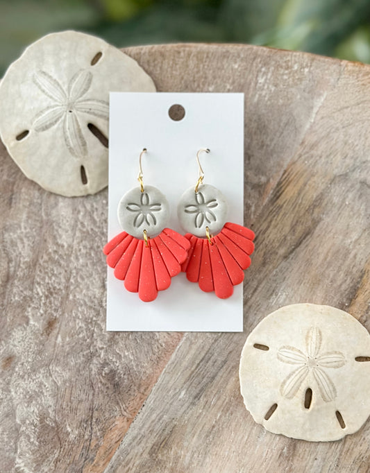 Sand and Coral